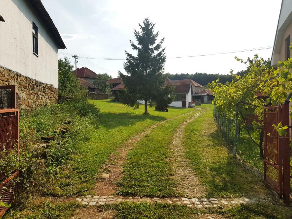 Green Apartments Kursumlija Dış mekan fotoğraf