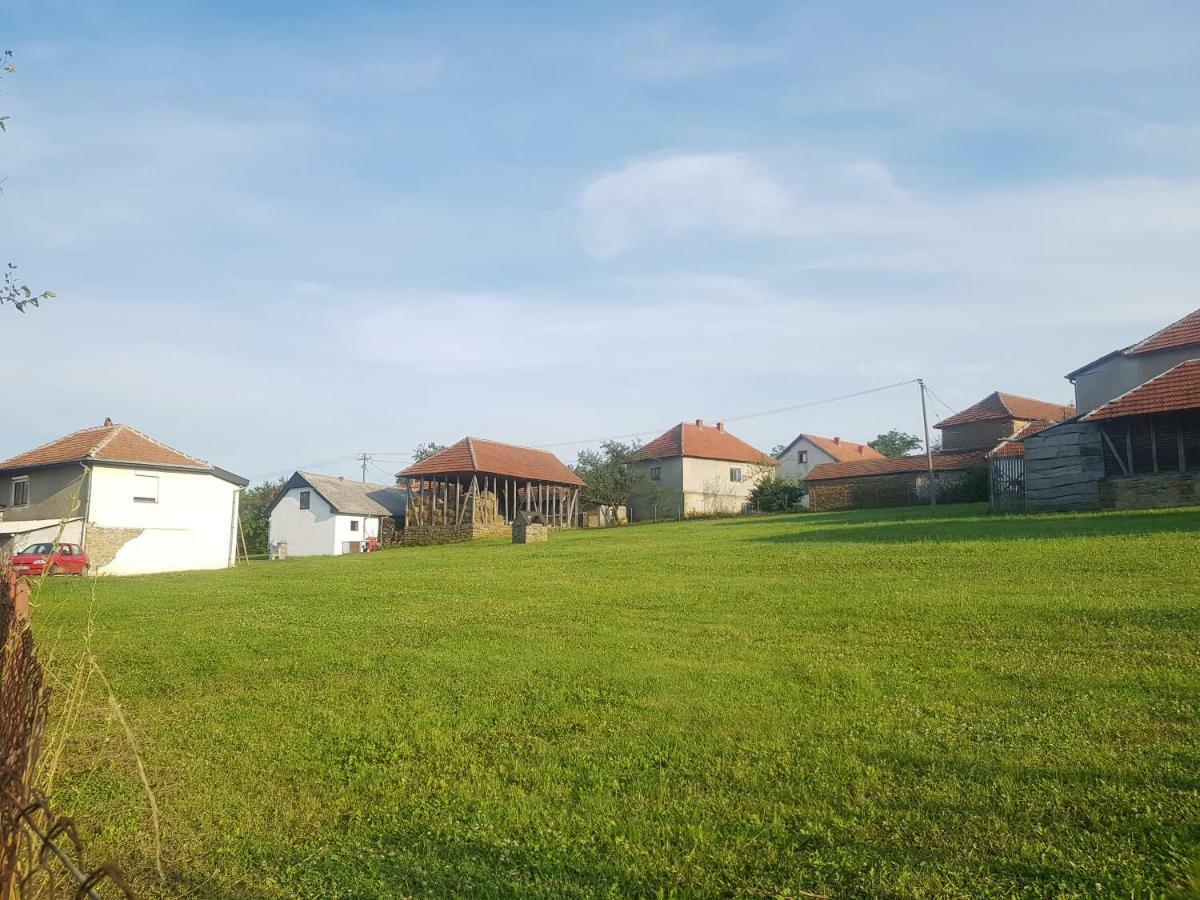 Green Apartments Kursumlija Dış mekan fotoğraf