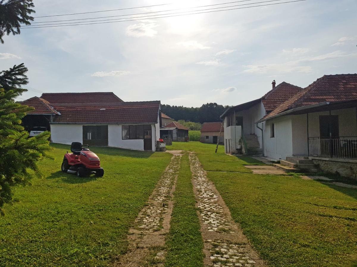 Green Apartments Kursumlija Dış mekan fotoğraf