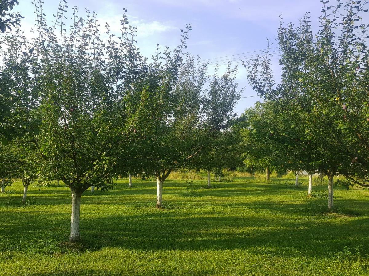Green Apartments Kursumlija Dış mekan fotoğraf