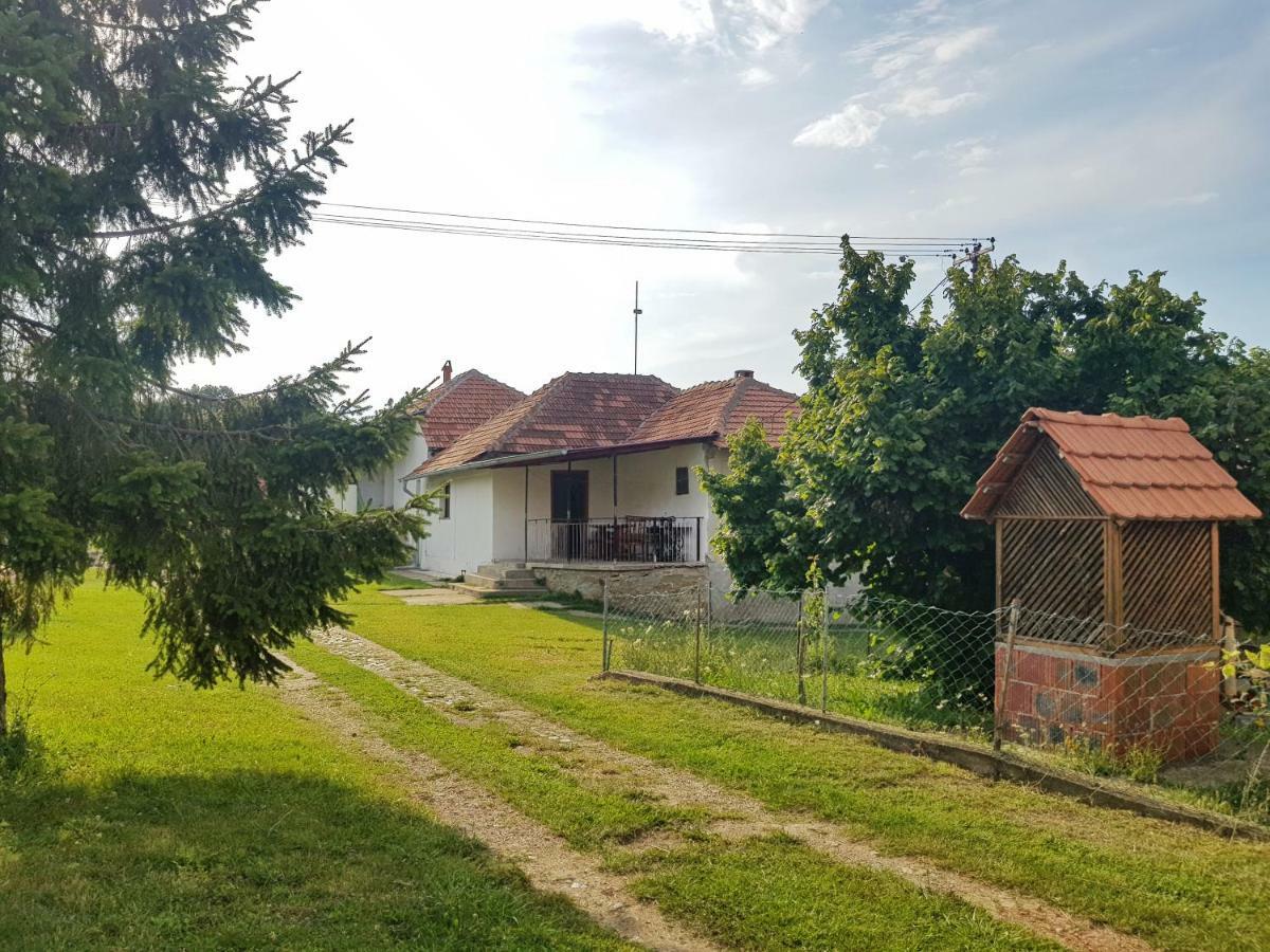 Green Apartments Kursumlija Dış mekan fotoğraf