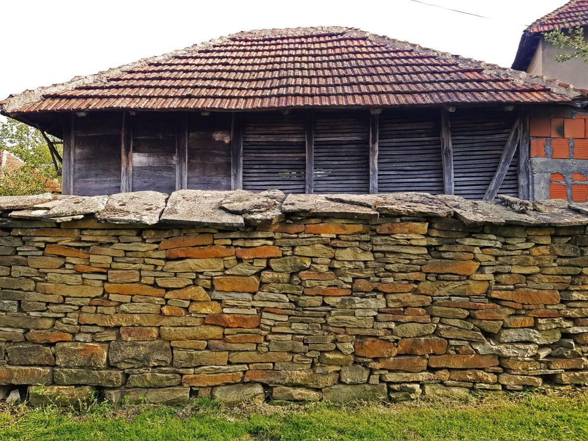 Green Apartments Kursumlija Dış mekan fotoğraf